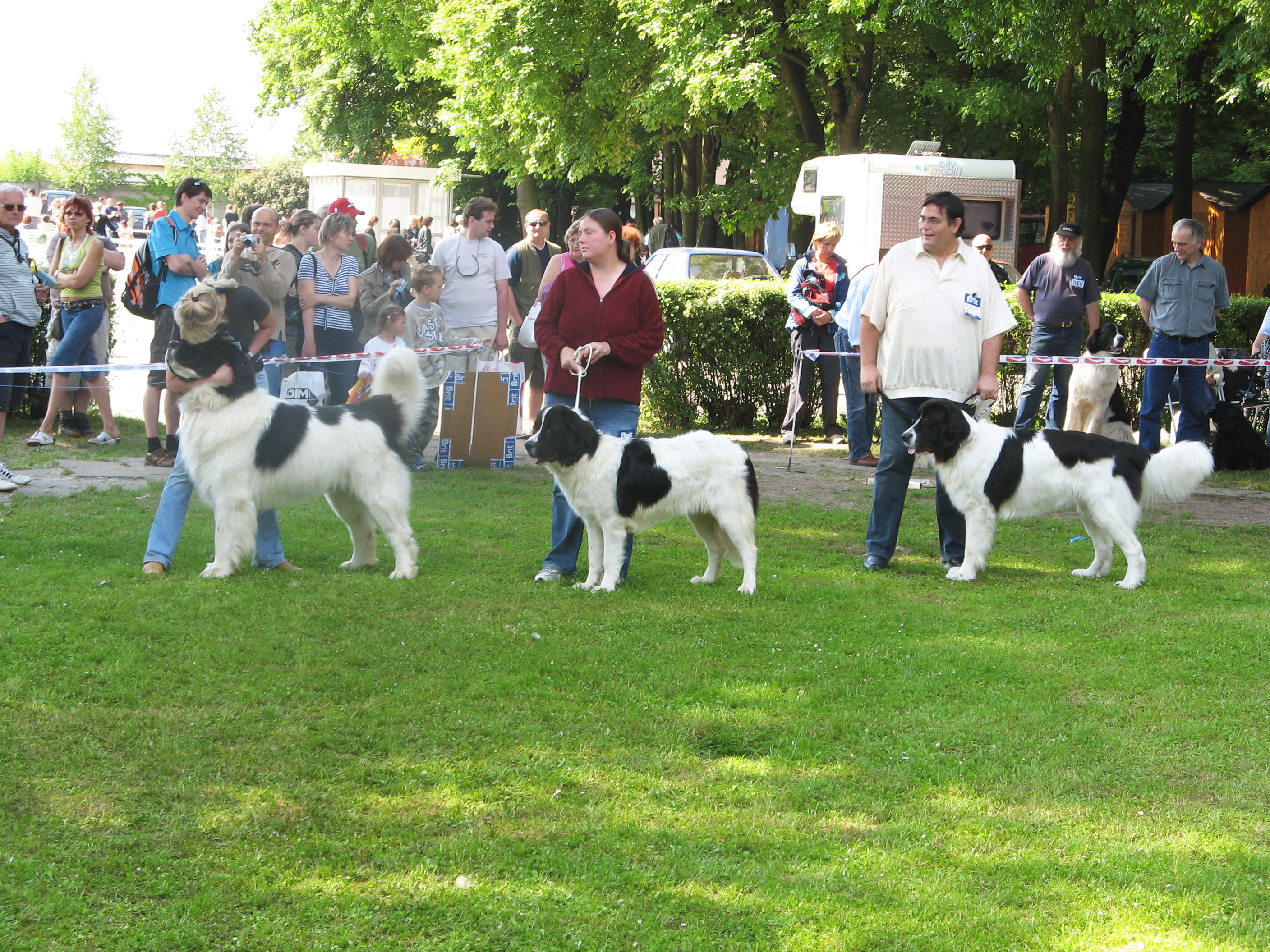 IMG_3405.jpg