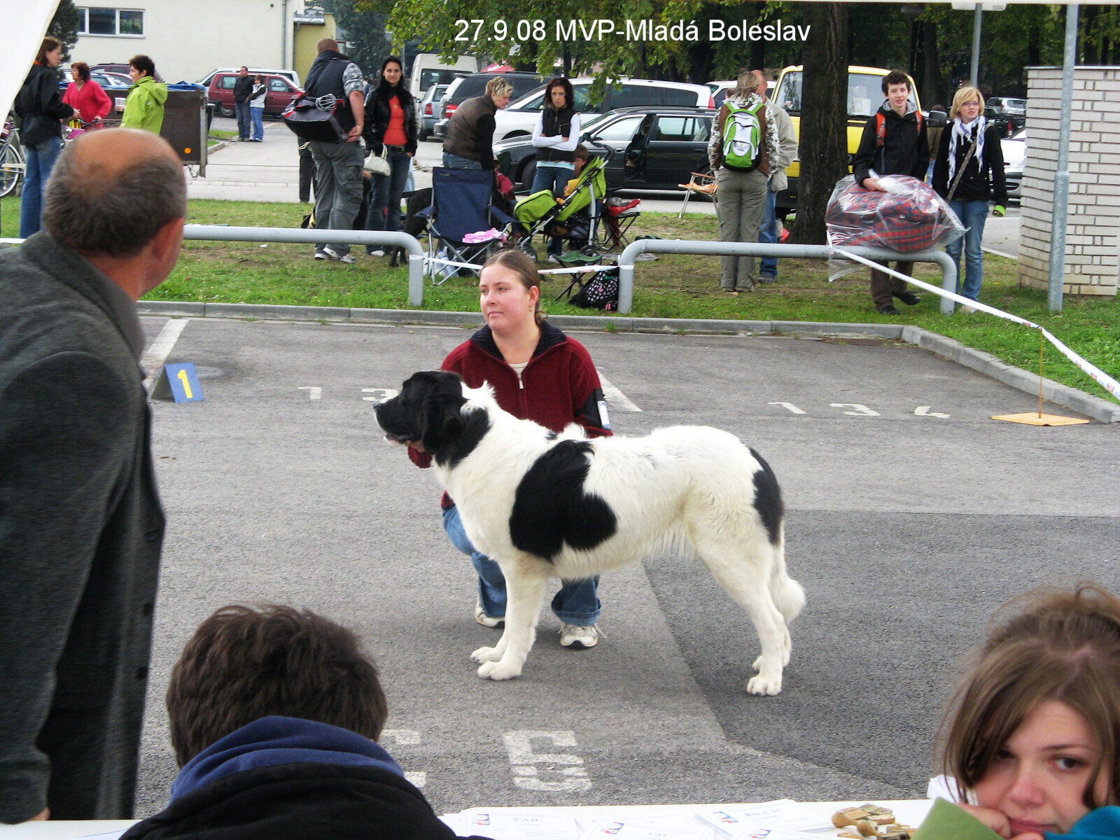 IMG_4385.jpg