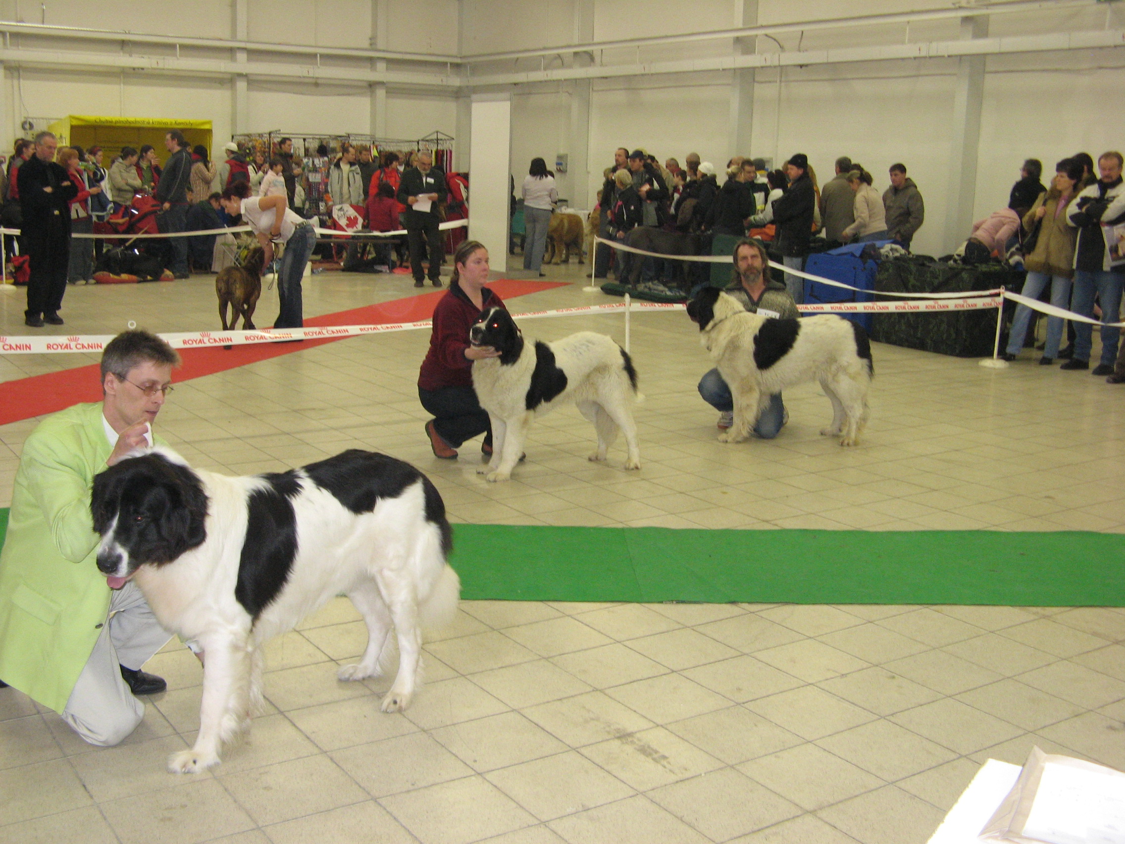 IMG_5437.JPG