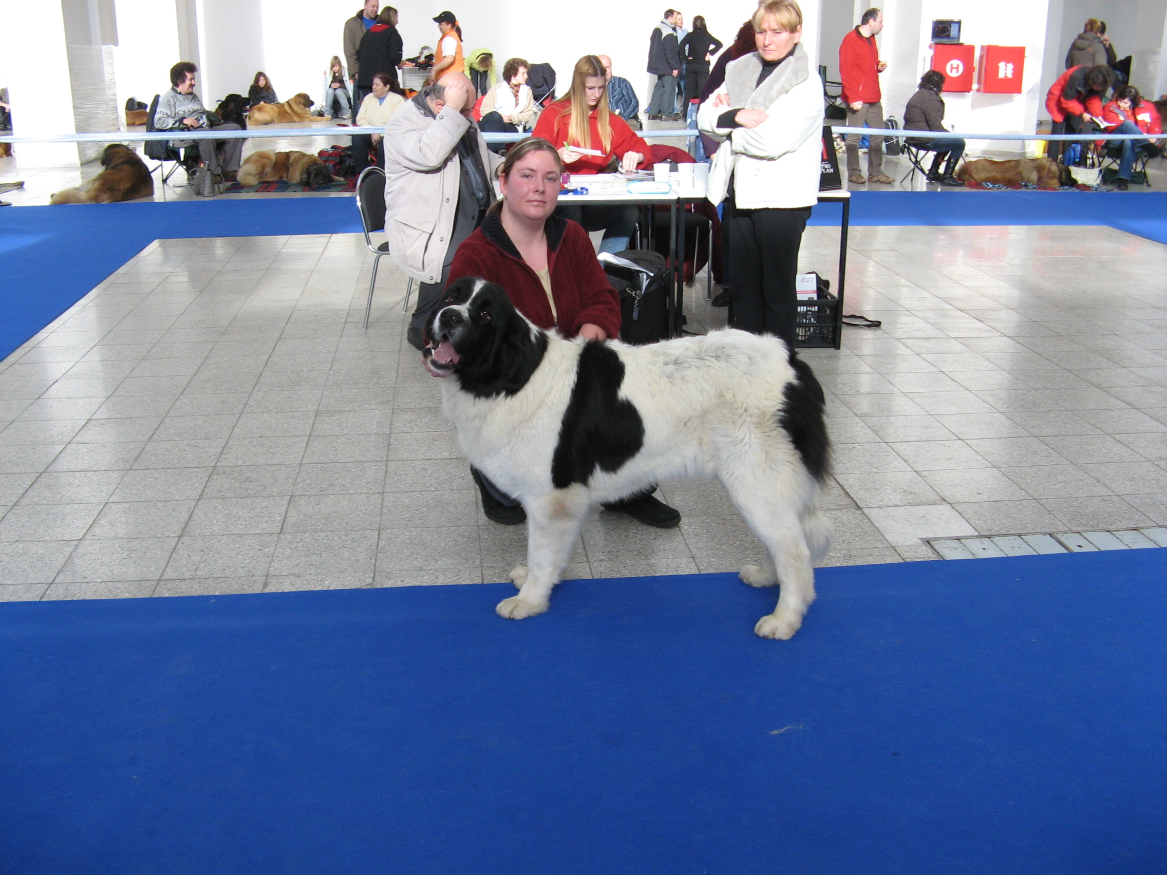 IMG_5470.JPG